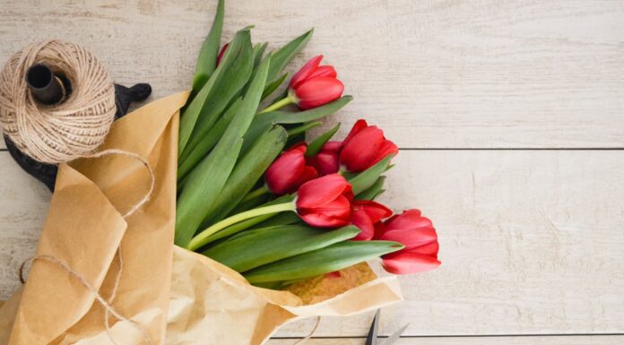 How Flowers Make Someone Feel So Special?