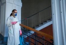 Role Of Pest Control Service Providers In West London pest control