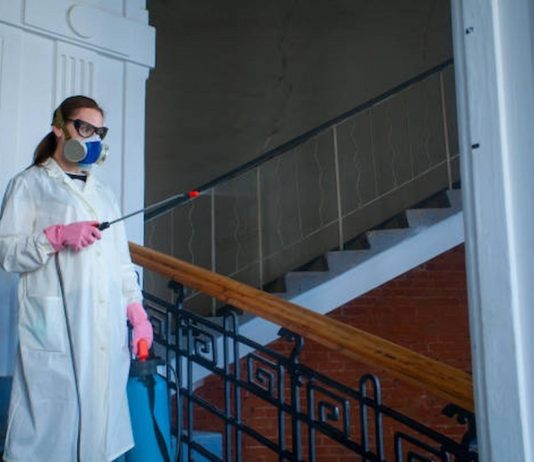 Role Of Pest Control Service Providers In West London pest control
