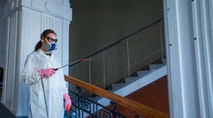 Role Of Pest Control Service Providers In West London pest control