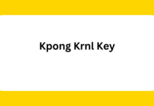 What Every Gamer Needs to Know About Kpong Krnl Key kpong krnl key