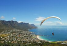 5 Reasons to Visit South Africa Exotic Wildlife