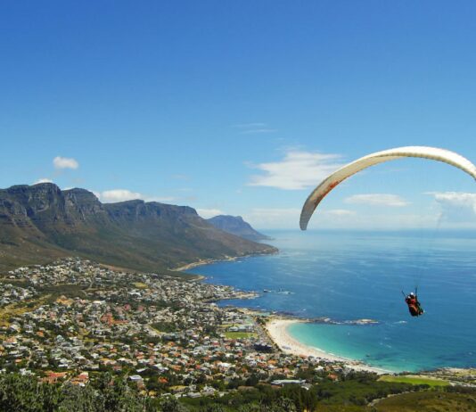 5 Reasons to Visit South Africa Exotic Wildlife