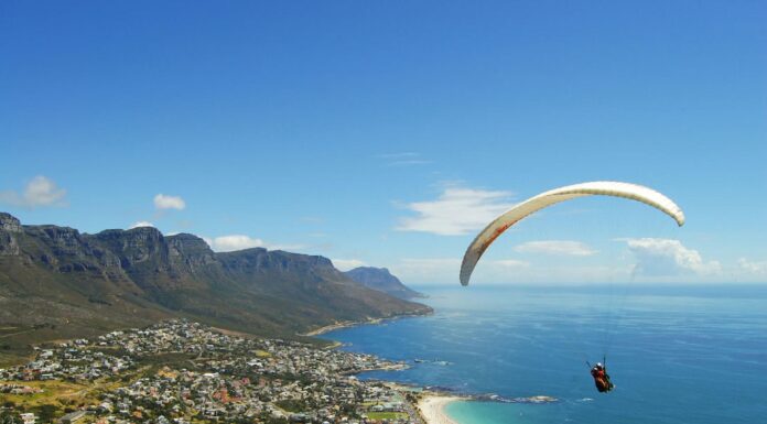 5 Reasons to Visit South Africa Exotic Wildlife