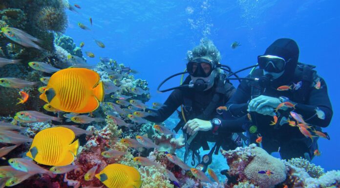 Why Scuba Diving in Kauai Is a Must-Do for Ocean Adventurers Ocean Adventurers