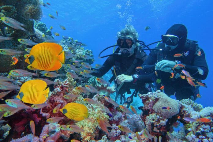 Ocean Adventurers