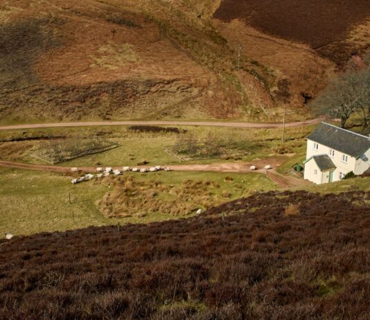 Why The Best Holiday Cottages In The UK Are The Perfect Escape Cottages In The UK