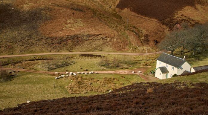 Why The Best Holiday Cottages In The UK Are The Perfect Escape Cottages In The UK