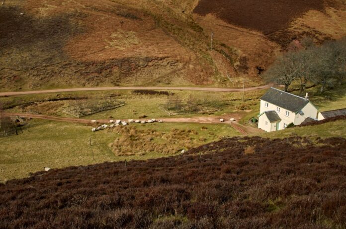 Cottages In The UK