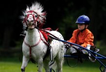 The Digital Future of Horse Racing Betting at UK Racecourses Horse Racing