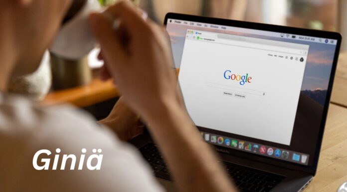 Giniä Explained: The Emerging Term Gaining Widespread Adoption Giniä
