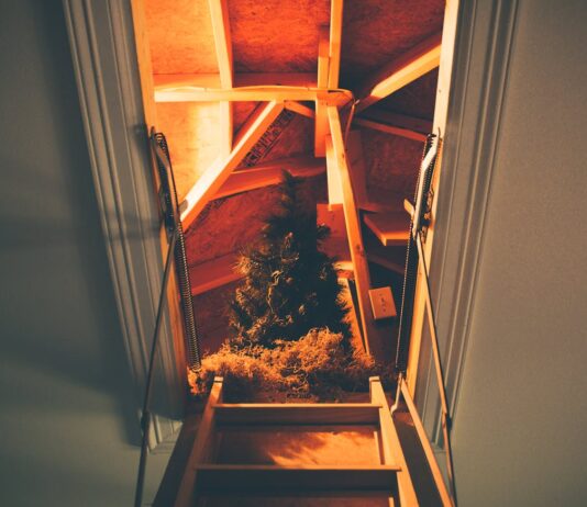 Transforming Your Attic into a Functional Storage Hub Storage Hub