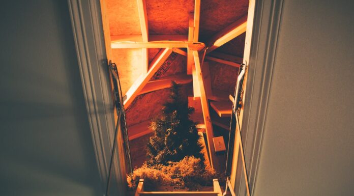 Transforming Your Attic into a Functional Storage Hub Storage Hub