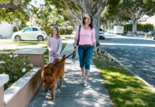 Why It’s Important to Choose Dog Breeds That Fit Family Lifestyles Why It’s Important to Choose Dog Breeds That Fit Family Lifestyles