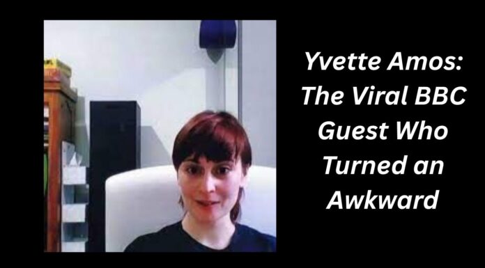 Awkward Moment Becomes Internet Legacy with Yvette Amos, the Viral BBC Guest Yvette Amos