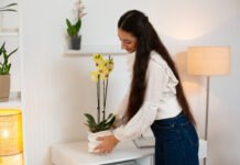 Little Touches That Make Your Home Feel New Again Make Your Home Feel New Again