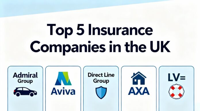 Top 5 Insurance Companies for 1 Year No Claims Top 5 Insurance Companies