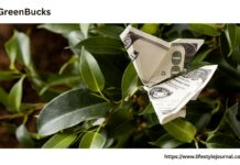 MyGreenBucks Kenneth Jones: A Smart Way to Make Money as a Greenie MyGreenBucks