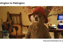 An Intriguing Case of a Treasured Bear and a Viral Mix-Up: From Paddington to Pabington Paddington