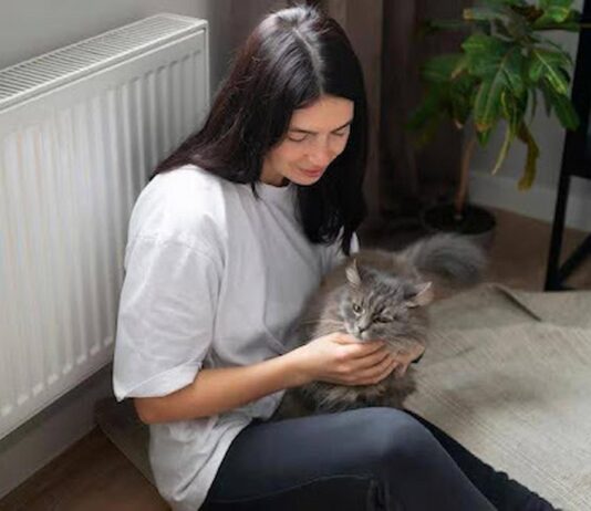 How Modern Radiators Improve Heating Efficiency in the Home Radiators