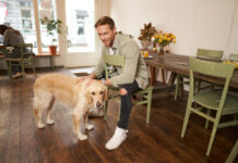 Small Habits That Make Life with a Dog Even More Rewarding Small Habits That Make