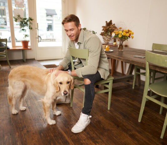 Small Habits That Make Life with a Dog Even More Rewarding Small Habits That Make