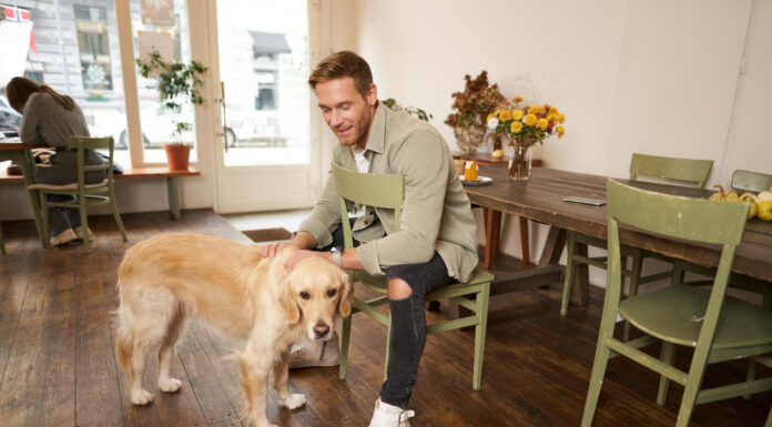 Small Habits That Make Life with a Dog Even More Rewarding Small Habits That Make