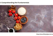 Overview of Musté: Comprehending the Fundamentals Musté