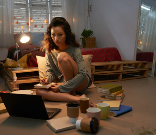 The Problems And Solutions For The Work From Home Model The Work From Home Model