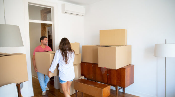 Why Wellington Apartment Moves Need Extra Coordination Why Wellington Apartment Moves Need Extra Coordination