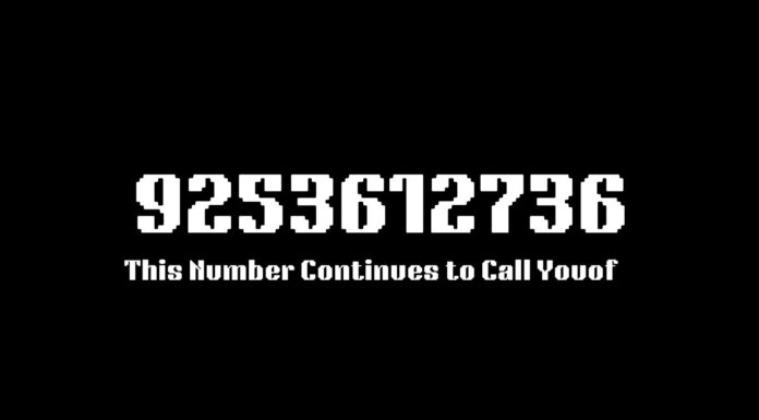 9253612736: What to Do When This Number Continues to Call You 9253612736