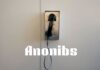 The Next Development in Anonymous Communication: Anonibs Anonibs