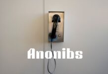 The Next Development in Anonymous Communication: Anonibs Anonibs