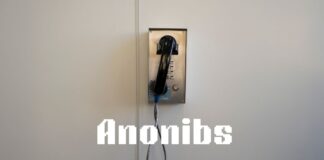 The Next Development in Anonymous Communication: Anonibs Anonibs