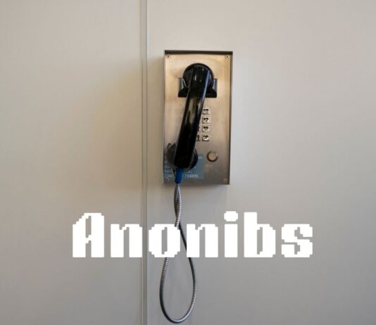 The Next Development in Anonymous Communication: Anonibs Anonibs