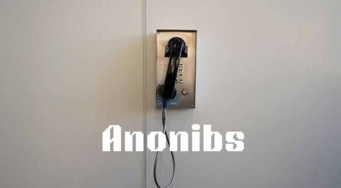 The Next Development in Anonymous Communication: Anonibs Anonibs