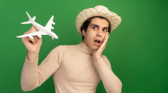 Flight BY6754, TUI Emergency landing: Understanding Aviation Safety’s Growing Bird Strike Threat Flight BY6754
