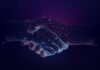 Why Digital Trust Matters in Everyday Business Life Digital