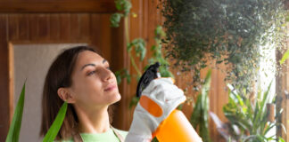 Switching to Non-Toxic Cleaning Products: What Actually Works and What’s Just Greenwashing Greenwashing