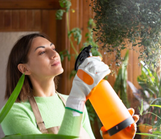 Switching to Non-Toxic Cleaning Products: What Actually Works and What’s Just Greenwashing Greenwashing