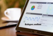 Robyoc.online: A Full Overview, What It Does, How Safe It Is, and Some Insights Robyoc.online