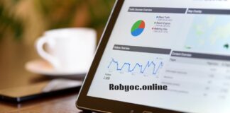 Robyoc.online: A Full Overview, What It Does, How Safe It Is, and Some Insights Robyoc.online