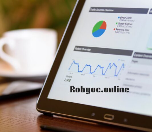 Robyoc.online: A Full Overview, What It Does, How Safe It Is, and Some Insights Robyoc.online