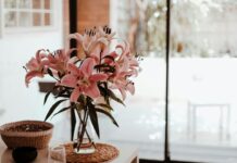 Where to place flowers so they don’t die: the biggest interior mistakes place flowers