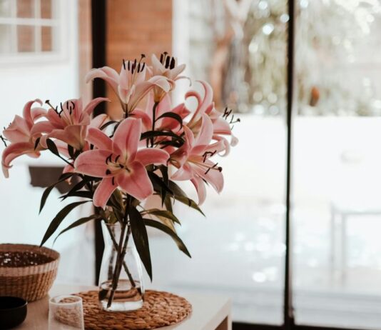 Where to place flowers so they don’t die: the biggest interior mistakes place flowers