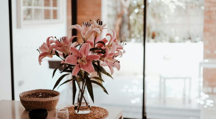 Where to place flowers so they don’t die: the biggest interior mistakes place flowers