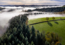 Bodenxt: Speeding up Sweden’s green transition by radically changing communities Bodenxt