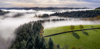 Bodenxt: Speeding up Sweden’s green transition by radically changing communities Bodenxt