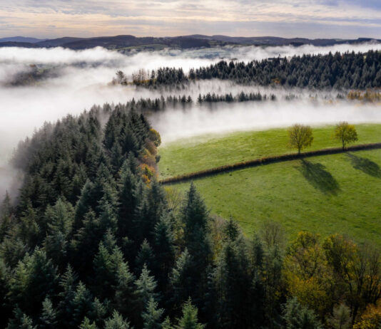 Bodenxt: Speeding up Sweden’s green transition by radically changing communities Bodenxt
