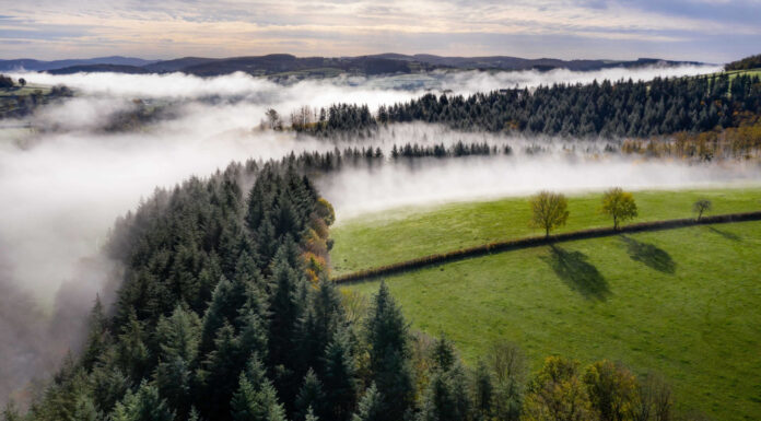 Bodenxt: Speeding up Sweden’s green transition by radically changing communities Bodenxt